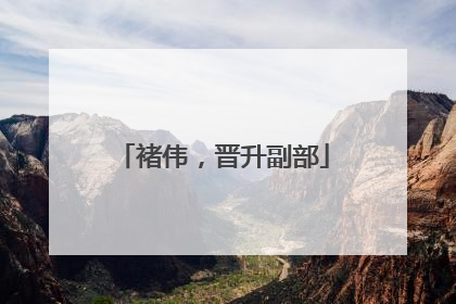 褚伟，晋升副部